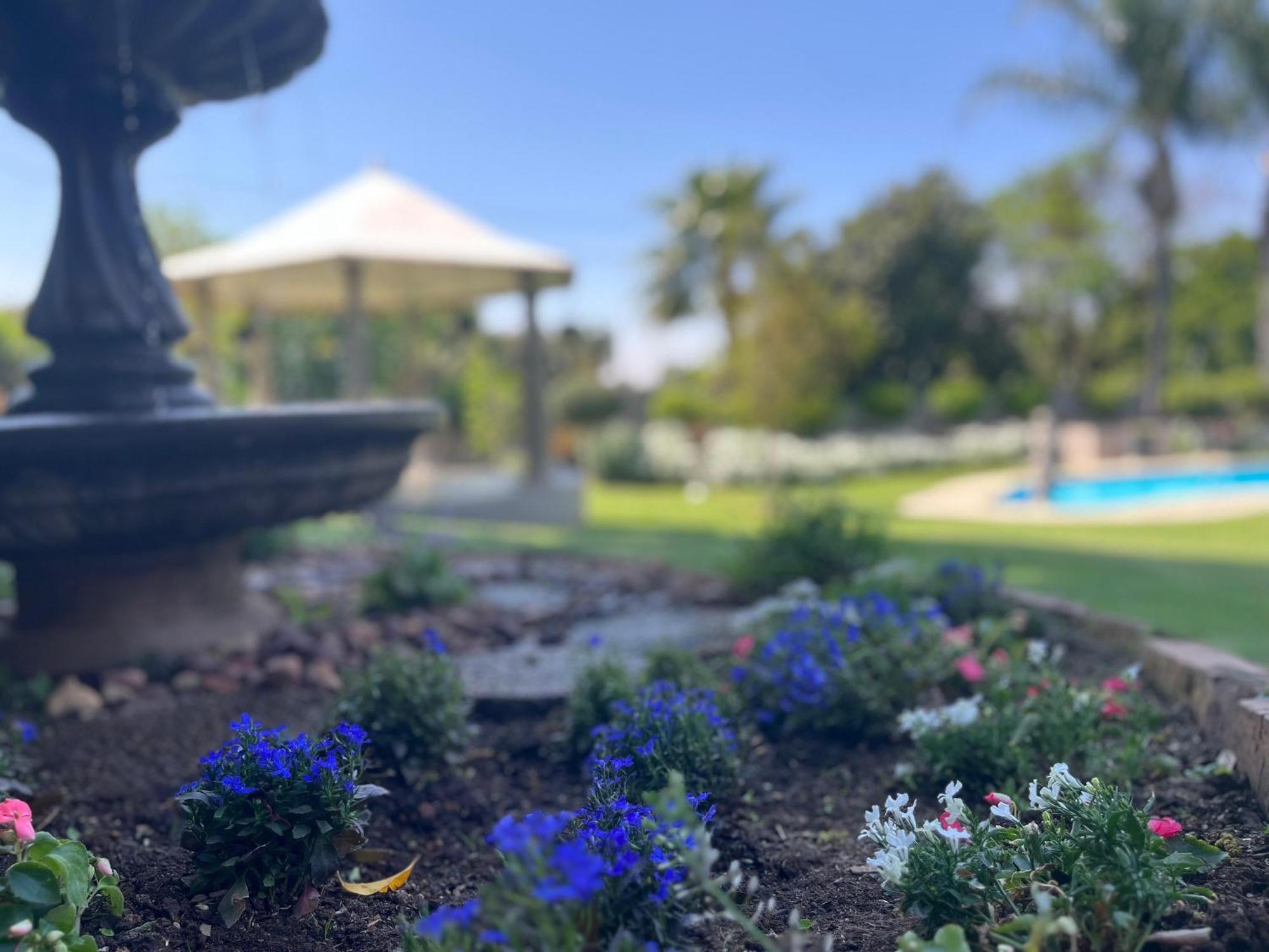 La Vida Luka - Luxury Guesthouse Претория Екстериор снимка